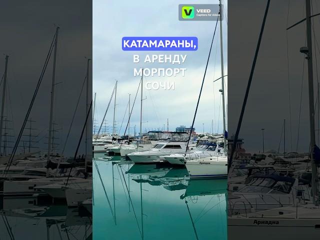 ️ АРЕНДА ЯХТ И КАТАМАРАНОВ В СОЧИ ПО НИЗКИМ ЦЕНАМ #аренда #морскиепрогулки #арендаяхт