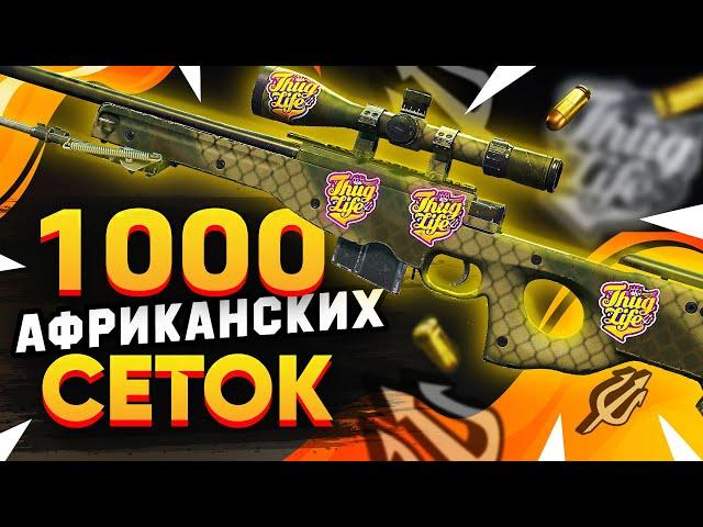 КУПИЛ 1000 AWP | Африканская Сетка в КС 2. Попались РЕДКИЕ ДОРОГИЕ наклейки. Заработал на скинах?!