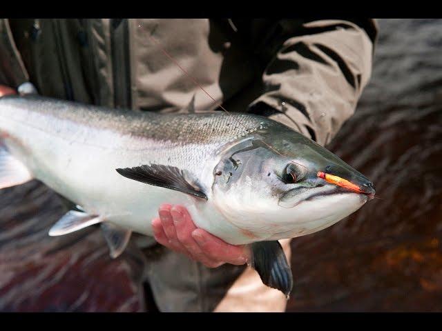 Fly Fishing For Atlantic Salmon, River Finn - One Of Ireland's Finest Rivers