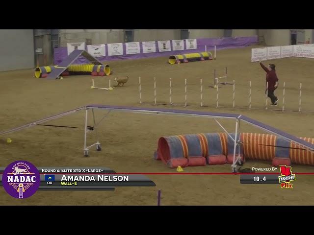 NADAC Championships - Wall-E - Round 6