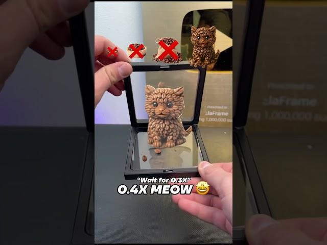 Wait for REAL COFFEE CAT! 