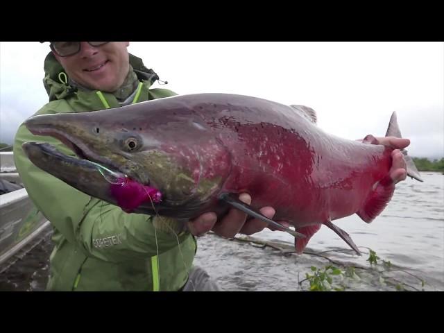 Angeln auf Lachs in Alaska: Ein wildes Wasser