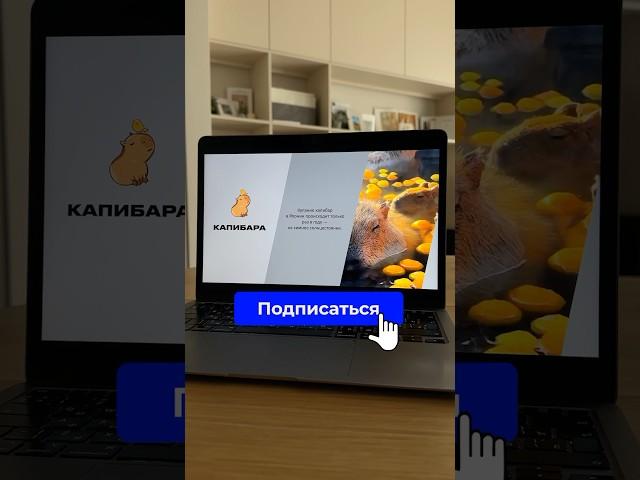 Как быстро делать креативные презентации? #поверпоинт #презентация #дизайнпрезентаций #powerpoint