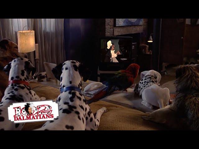 Date Night, Lady & The Tramp | (3/15) Movie Scenes | 102 Dalmatians (2000) HD