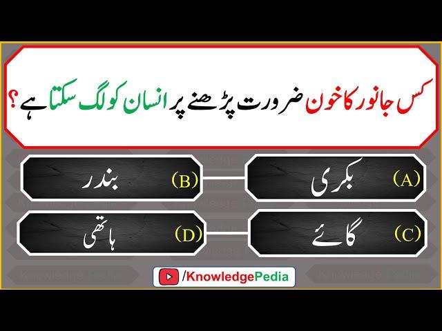 Kis janwar Ka Khoon Zaroorat Parny Par Insan Ko Lag Sakta hai  || Islamic Quiz # 987