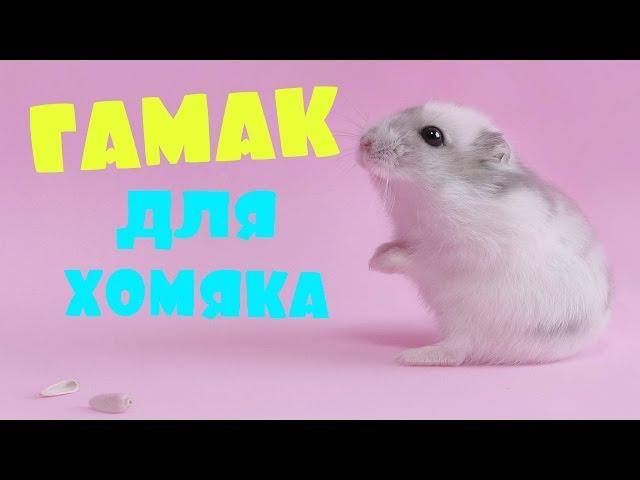 Игрушки для хомяка своими руками. Гамак | Simple Craft