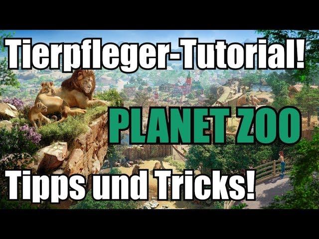 Tutorial für Tierpfleger in Planet Zoo! Tipps und Tricks für Füttern und Reinigen von Gehegen!