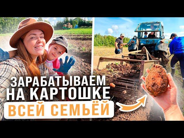 УБОРКА КАРТОФЕЛЯ 2024 | Зарабатываем всей семьём на картошке в деревне