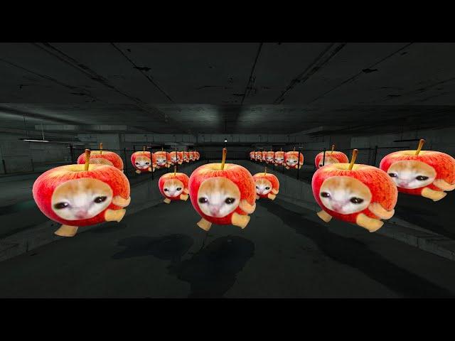 Apple Cat, Banana Cat Nextbot Gmod