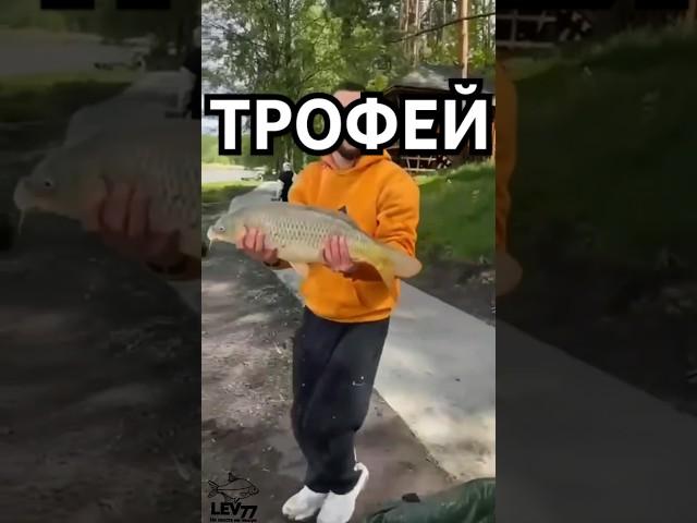 Большая рыба. Рыбалка на Кубани.#lev77
