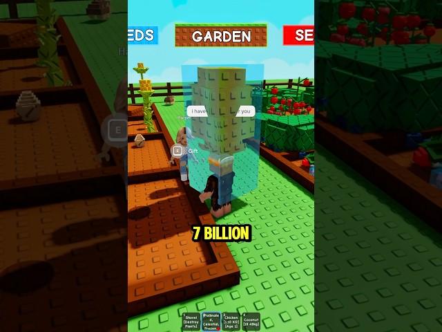 Giving Candy Blossoms to kind people in Grow A Garden #growagarden #roblox