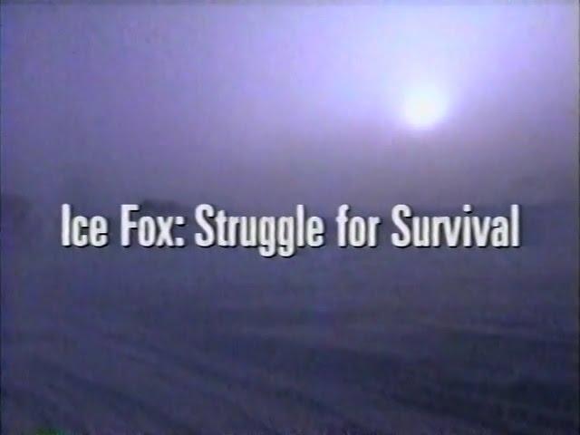 Ice Fox: Struggle for Survival (1993)