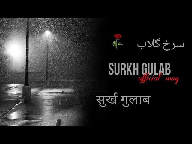 Surkh gulabسرخ گلاب "Basit Qureshi" :official song: