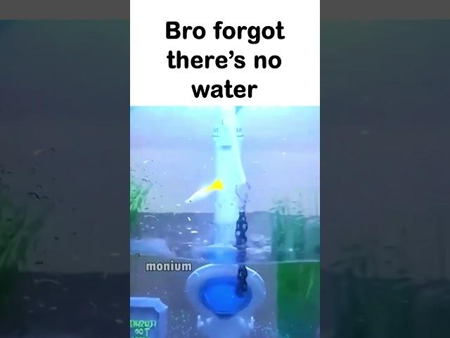 Bro is on 1000 ping