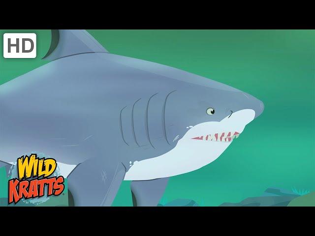 Wild Kratts | Sharks | Apex Predators of the Oceans