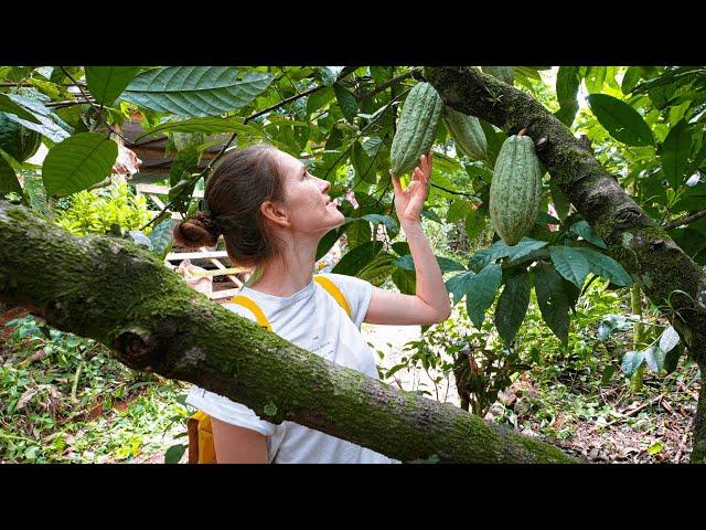 The Ultimate BAKER'S Guide in COSTA RICA | From Cacao to Chocolate