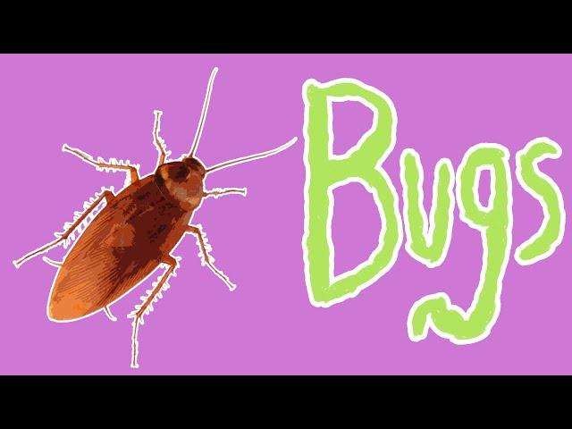 Bad Bugs - Insect Pests for Kids