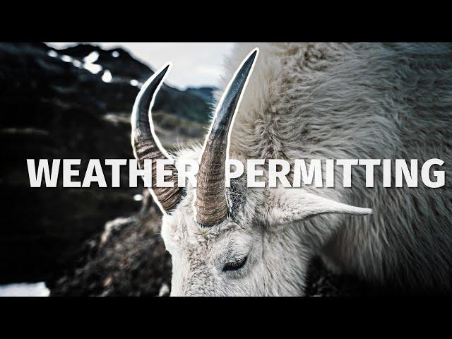 Alaska Mountain Goat Hunt with Sierra & Isaiah | THE ADVISORS: Weather Permitting