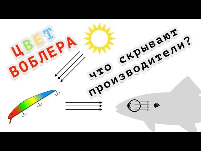 Цвет ВОБЛЕРА не важен!? Что скрывают производители приманок?