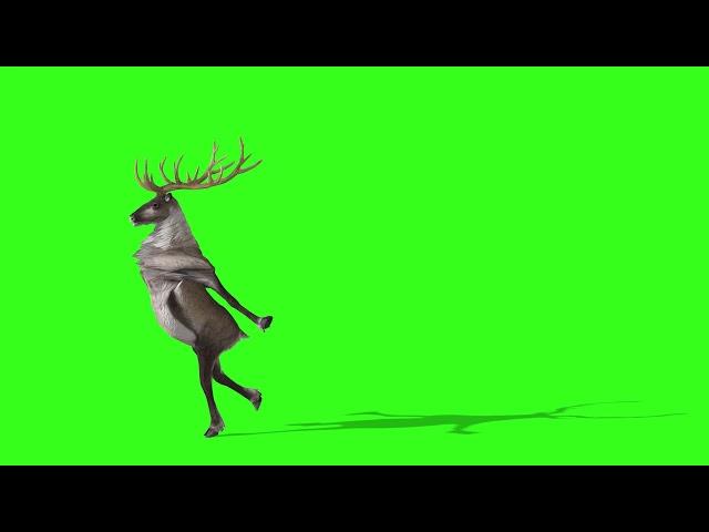 Олень идёт DANCING GREEN SCREEN FOR CHROMAKEY  Грин скрин (green screen effects) 