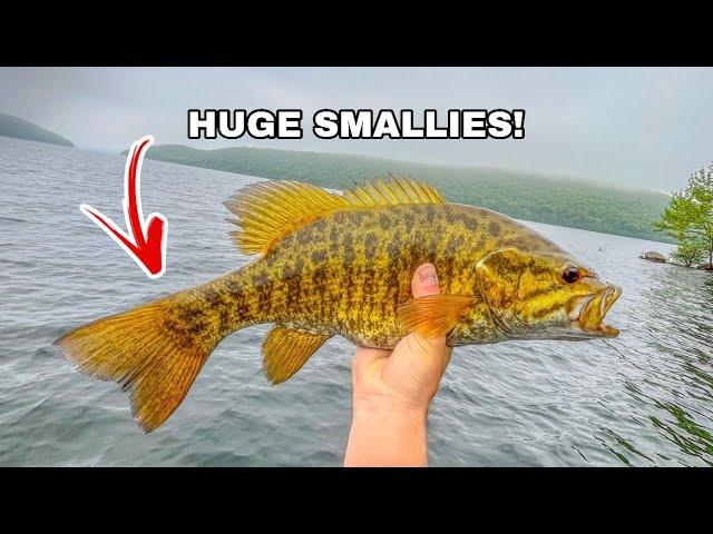 Bed fishing for HUGE smallies in the Quabbin Reservoir! (Best fishing EVER!)