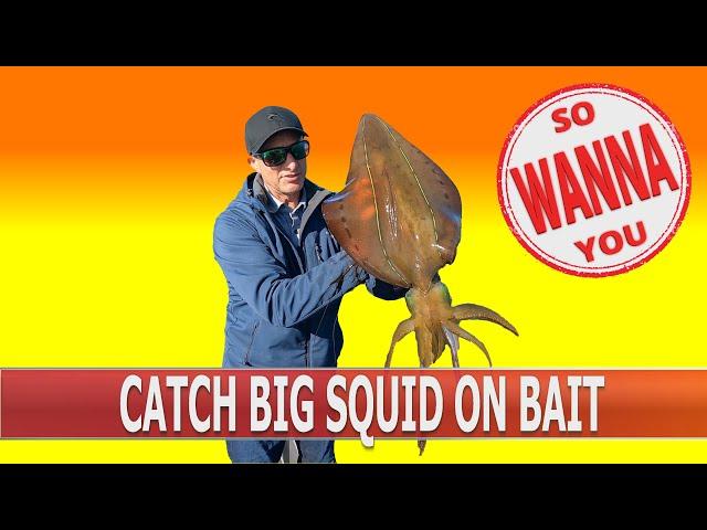 How to catch big squid on a handline using bait