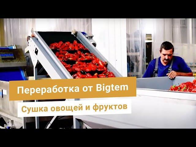 Линия переработки овощей от Bigtem. Мойка, чистка, нарезка, сушка, упаковка перца, лука, моркови.