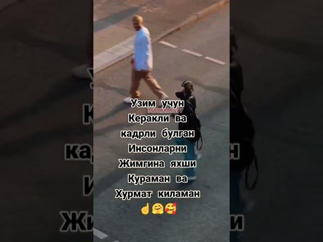 ХАЙРЛИ КЕЧ