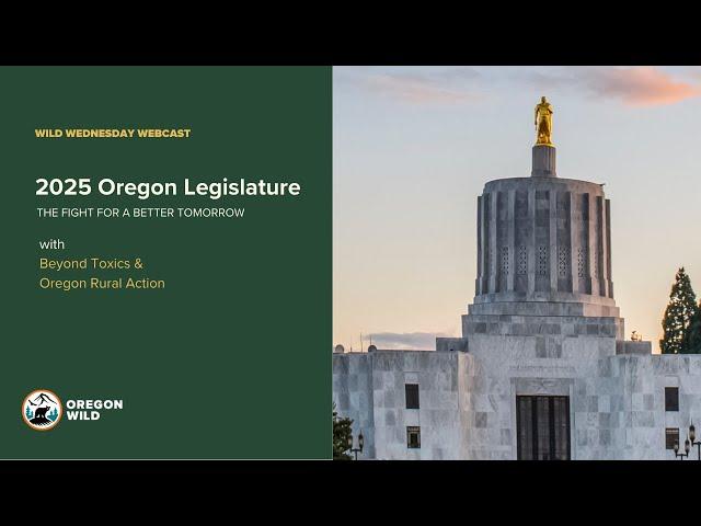 The Oregon Legislature and the fight for a better tomorrow