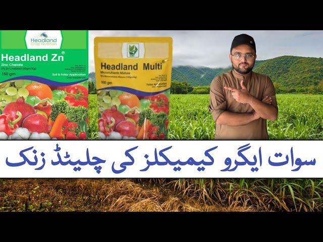 Headland Zn | Swat Agro Chemical | Best Zinc Fertilizer | Best Micronutrients