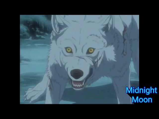 Wolf's Rain~Because Of You