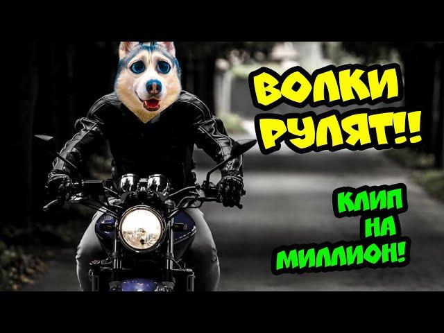 Хаски Бандит - ВОЛКИ РУЛЯТ! (Official music video) КЛИП НА МИЛЛИОН ПОДПИСЧИКОВ!!