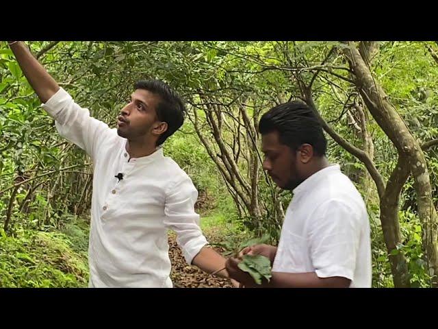 Indigenous Medicine and Immunity Enhancing Medicinal Plants ofSri Lanka