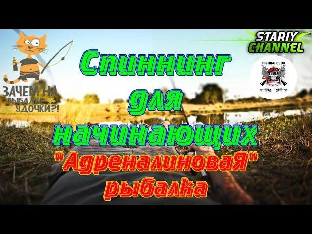 СПИННИНГ ДЛЯ НАЧИНАЮЩИХ ⏪ АДРЕНАЛИНОВАЯ РЫБАЛКА ⏩  Russian Fishing 4 (РР4,RF4)