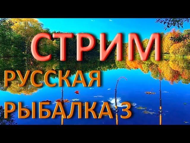 Русская рыбалка 3 - Разряд 1. Начало.