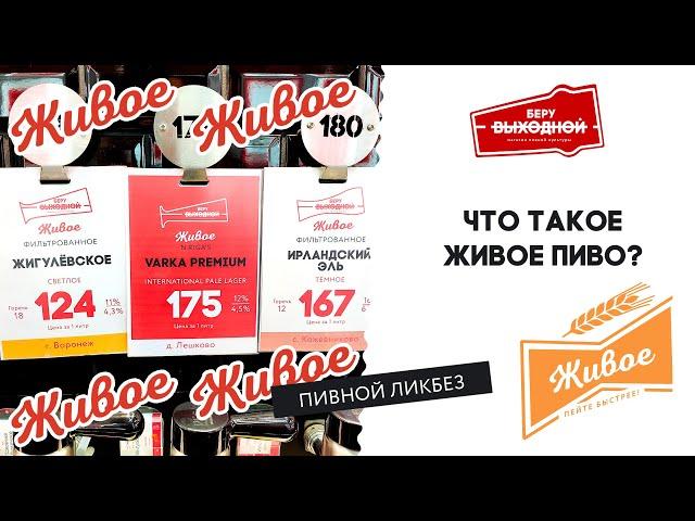 Что такое живое пиво – Пивной ликбез #16 с Николаем Желагиным