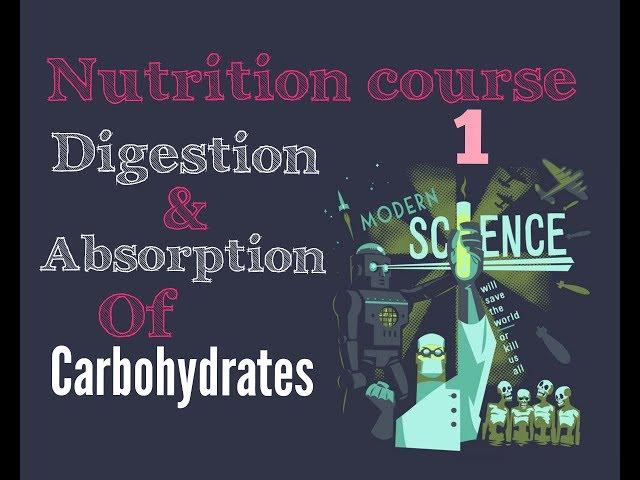 Biochemistry Nutrition course lecture ( 1 ) - carbohydrates digestion , absorption