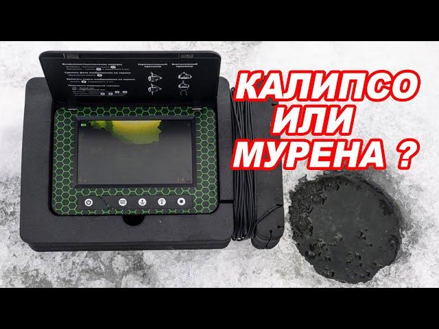 Рыба БУДЕТ! СРАВНИВАЕМ Мурену и Калипсо! Какую ПОДВОДНУЮ камеру выбрать?