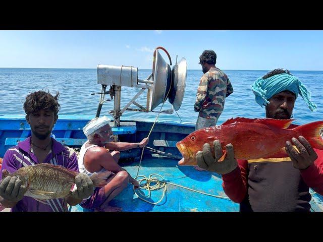 FIRST DAY We Caught Tampa Fish's & Emperor Fish's in Deep Sea Fishing