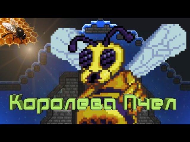 [Terraria] - Как призвать Королеву Пчел (Queen Bee)