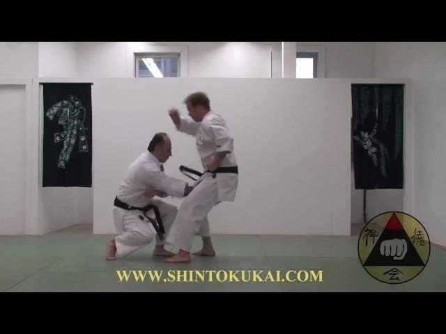 Okinawa Shorin-ryu Karate: Parent Style of Shotokan (clip 3)