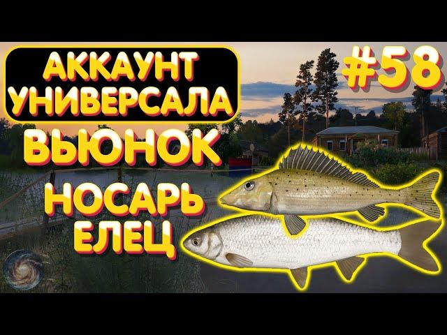 Аккаунт универсала #58 | Елец Уклейка Носарь | р. Вьюнок | Русская Рыбалка 4