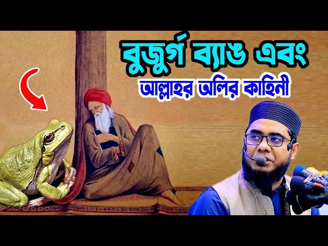 বুজুর্গ ব্যাঙ ও আল্লাহর অলির কাহিনী shahidur rahman mahmudabadi new bangla waz মাহমুদাবাদী ওয়াজ২০২৪