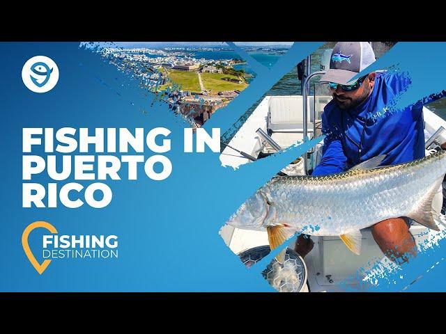 Fishing in Puerto Rico: All You Need to Know | FishingBooker