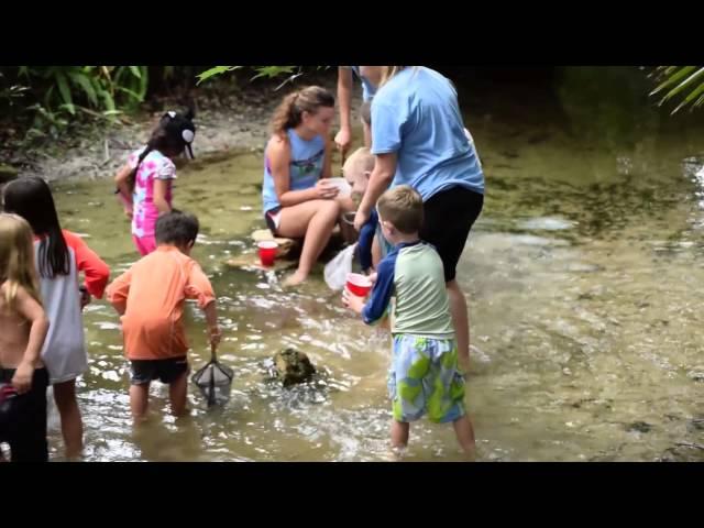 Young Naturalist Summer Camp '15