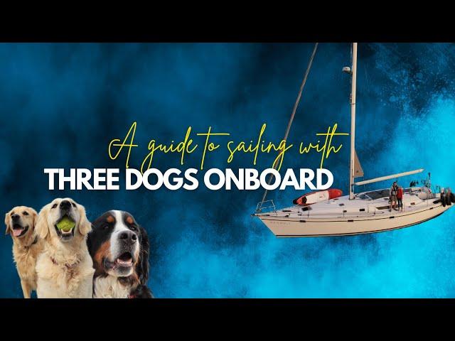 DOGGO LIFE! Sailing with dogs simplified! What? Where? How? & Why? | Including Q&A | [Ep. 35]