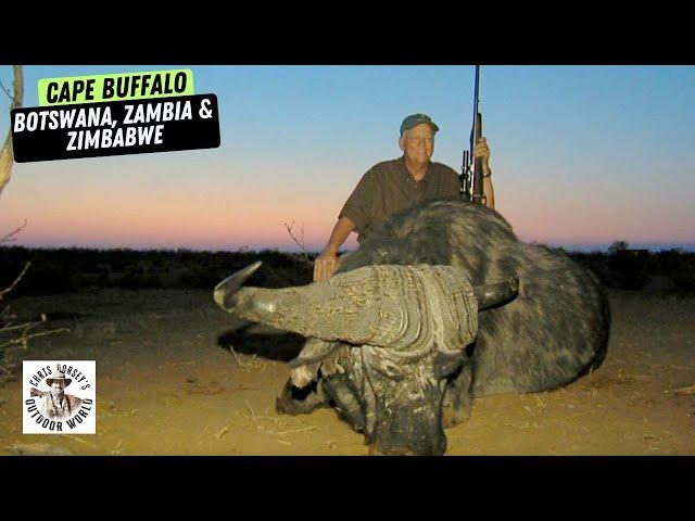 4 Hunts for Deadly Cape Buffalo