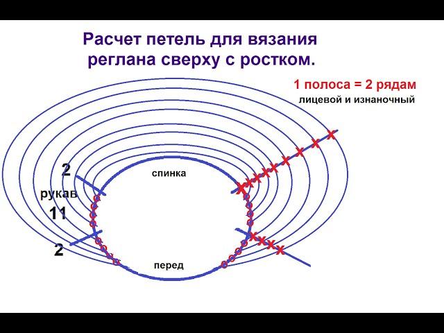 Самый точный и подробный расчет реглана сверху с ростком