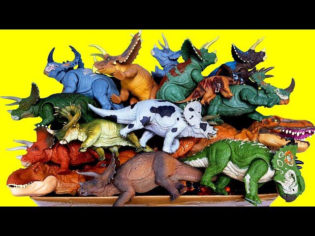 Lots of Horned Dinosaurs & T-rex Triceratops Pentaceratops Sinoceratops, Jurassic world Dinosaur