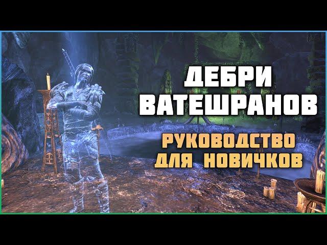 ESO Дебри Ватешранов. Руководство для новичков.